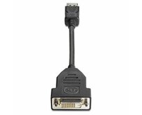 HP DisplayPort To DVI-D Adapter