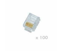 DATACOM Plug UTP CAT3 6p6c- RJ12 lanko - 100 pack