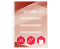 GBC Organizační laminovací kapsy A4+ 125 mic (100)