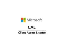 Win Server CAL 2022 (10 User)