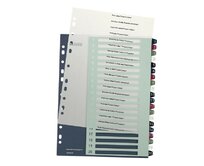 LEITZ Rejstříky Style - popisovatelné na PC, A4+ MAXI 1-20