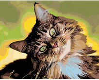 Zuty - Malování podle čísel - MOUROVATÝ KOCOUR 40x50 cm vypnuté plátno na rám