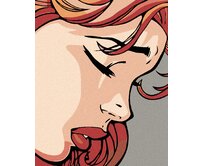 Zuty - Malování podle čísel - ZKLAMANÁ 40x50 cm vypnuté plátno na rám