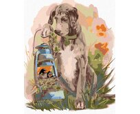 Zuty - Malování podle čísel - OHAŘ S PTÁČKY 40x50 cm vypnuté plátno na rám