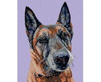 Zuty - Malování podle čísel - STARÝ VLČÁK 40x50 cm vypnuté plátno na rám