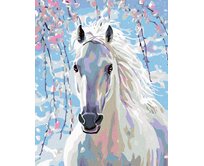 Zuty - Malování podle čísel - BÍLÝ KŮŇ 40x50 cm bez rámu a bez vypnutí plátna