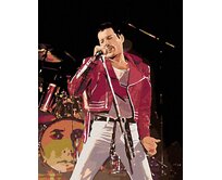 Zuty - Malování podle čísel - FREDDIE NA PÓDIU 40x50 cm bez rámu a bez vypnutí plátna