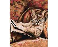 Zuty - Malování podle čísel - KOČKA S BRÝLEMI 40x50 cm vypnuté plátno na rám