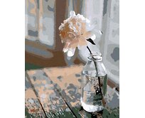 Zuty - Malování podle čísel - KVĚTINA V LAHVI 40x50 cm vypnuté plátno na rám