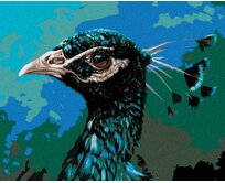 Zuty - Malování podle čísel - PAVÍ PROFIL 40x50 cm bez rámu a bez vypnutí plátna