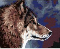 Zuty - Malování podle čísel - HLAVA VLKA 40x50 cm bez rámu a bez vypnutí plátna