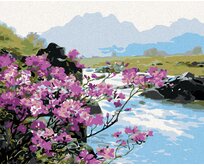 Zuty - Malování podle čísel - ROZKVETLÉ KVĚTINY U ŘEKY 40x50 cm vypnuté plátno na rám