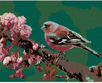 Zuty - Malování podle čísel - KVETOUCÍ SAKURA A RŮŽOVÝ PTÁČEK 40x50 cm bez rámu a bez vypnutí plátna