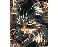 Zuty - Malování podle čísel - NÁDHERNĚ DVOUBAREVNÁ KOČKA 40x50 cm bez rámu a bez vypnutí plátna