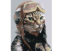 Zuty - Malování podle čísel - LETEC 40x50 cm vypnuté plátno na rám