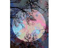 Zuty - Malování podle čísel - BAREVNÝ MĚSÍC 40x50 cm vypnuté plátno na rám