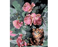 Zuty - Malování podle čísel - MALÉ KOTĚ MEZI KVĚTY 40x50 cm bez rámu a bez vypnutí plátna