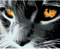 Zuty - Malování podle čísel - ČERNÁ KOČKA A JASNÝ POHLED 40x50 cm vypnuté plátno na rám