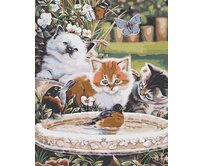 Zuty - Malování podle čísel - KOŤATA A PTÁČCI 40x50 cm vypnuté plátno na rám