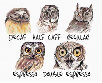 Zuty - Malování podle čísel - SOVY (HOLLY SIMENTAL) 40x50 cm bez rámu a bez vypnutí plátna