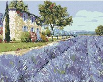 Zuty - Malování podle čísel - LEVANDULOVÉ POLE I 40x50 cm bez rámu a bez vypnutí plátna