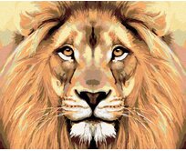 Zuty - Malování podle čísel - LVÍ POHLED 40x50 cm vypnuté plátno na rám