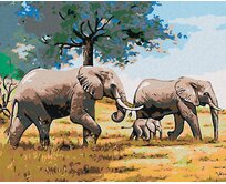 Zuty - Malování podle čísel - SLONÍ RODINKA 40x50 cm bez rámu a bez vypnutí plátna