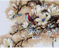 Zuty - Malování podle čísel - PTÁČEK VE VĚTVÍCH 40x50 cm vypnuté plátno na rám