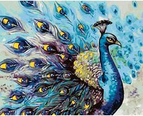 Zuty - Malování podle čísel - PYŠNÝ PÁV 40x50 cm bez rámu a bez vypnutí plátna