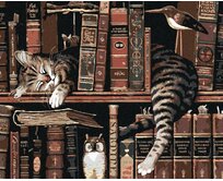 Zuty - Malování podle čísel - KOCOUR V KNIHOVNĚ 40x50 cm bez rámu a bez vypnutí plátna