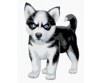 Zuty - Malování podle čísel - MODROOKÝ HUSKY 40x50 cm bez rámu a bez vypnutí plátna
