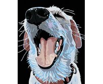 Zuty - Malování podle čísel - PES S ČERVENÝM OBOJKEM 40x50 cm bez rámu a bez vypnutí plátna