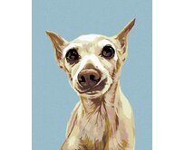 Zuty - Malování podle čísel - VYDĚŠENÝ PEJSEK 40x50 cm vypnuté plátno na rám