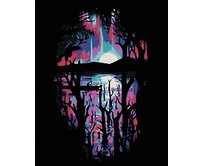 Zuty - Malování podle čísel - TEMNÁ NOC U JEZERA 40x50 cm vypnuté plátno na rám