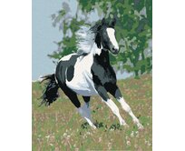 Zuty - Malování podle čísel - BĚŽÍCÍ STRAKÁČ 40x50 cm bez rámu a bez vypnutí plátna