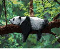 Zuty - Malování podle čísel - PANDA LEŽÍCÍ NA STROMĚ 40x50 cm vypnuté plátno na rám