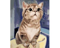 Zuty - Malování podle čísel - ZVĚDAVÁ KOČKA 40x50 cm bez rámu a bez vypnutí plátna