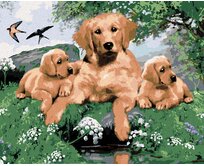 Zuty - Malování podle čísel - ZLATÝ RETRÍVR A ŠTĚŇATA (HOWARD ROBINSON) 40x50 cm vypnuté plátno na rám