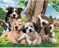 Zuty - Malování podle čísel - PSI U STROMU NA LOUCE (HOWARD ROBINSON) 40x50 cm bez rámu a bez vypnutí plátna