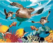 Zuty - Malování podle čísel - ŽELVY A BAREVNÝ OCEÁN (HOWARD ROBINSON) 40x50 cm bez rámu a bez vypnutí plátna