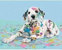 Zuty - Malování podle čísel - DALMATIN A ROZLITÉ BARVY 40x50 cm vypnuté plátno na rám