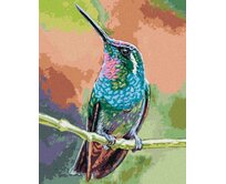 Zuty - Malování podle čísel - KOLIBŘÍK NA VĚTVI 40x50 cm vypnuté plátno na rám