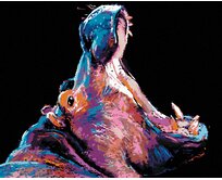 Zuty - Malování podle čísel - BAREVNÝ HROCH 40x50 cm bez rámu a bez vypnutí plátna