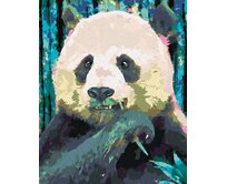Zuty - Malování podle čísel - BAREVNÁ PANDA 40x50 cm vypnuté plátno na rám