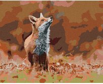 Zuty - Malování podle čísel - LIŠKA V LESE 40x50 cm vypnuté plátno na rám