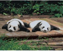 Zuty - Malování podle čísel - PANDA LEŽÍCÍ NA DŘEVĚ 40x50 cm vypnuté plátno na rám