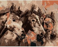 Zuty - Malování podle čísel - MALOVANÍ KONĚ V HNĚDÉ 40x50 cm vypnuté plátno na rám