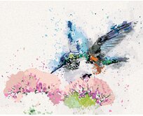 Zuty - Malování podle čísel - MALOVANÝ KOLIBŘÍK A KVĚTINY 40x50 cm vypnuté plátno na rám