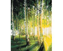 Zuty - Malování podle čísel - BŘÍZY V PROSVĚTLENÉM LESE 40x50 cm vypnuté plátno na rám