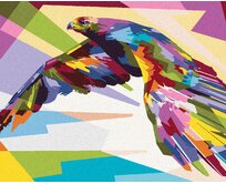 Zuty - Malování podle čísel - BAREVNÝ OREL V LETU 40x50 cm vypnuté plátno na rám